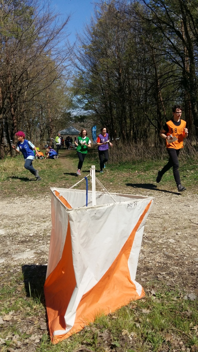 Championnat départemental de CO