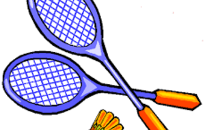 badminton inter district compétition (élèves qualifiés)
