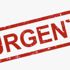 Urgent : inscription chpt départemental de CO